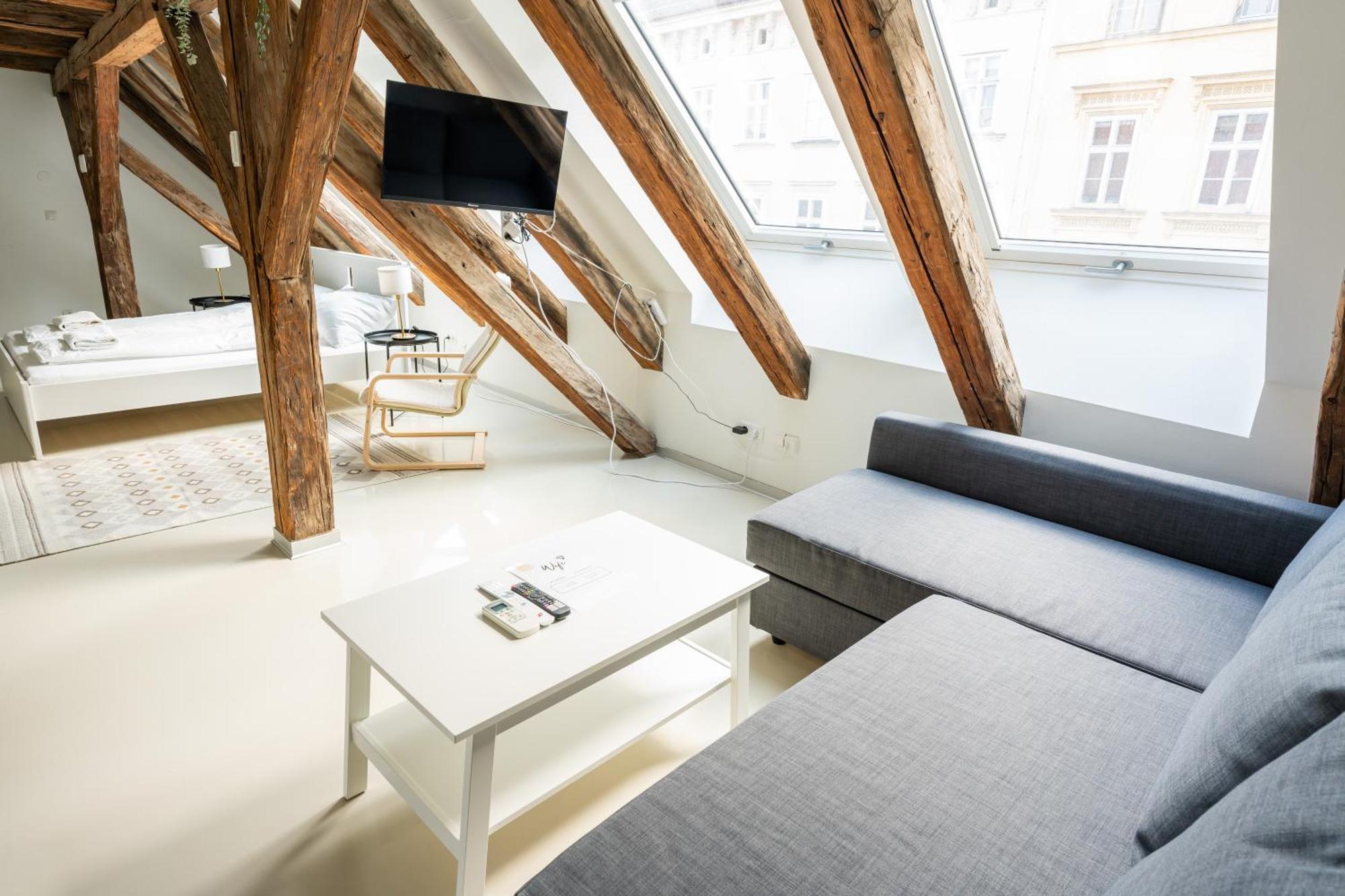 Living - Berggasse Appartamento Vienna