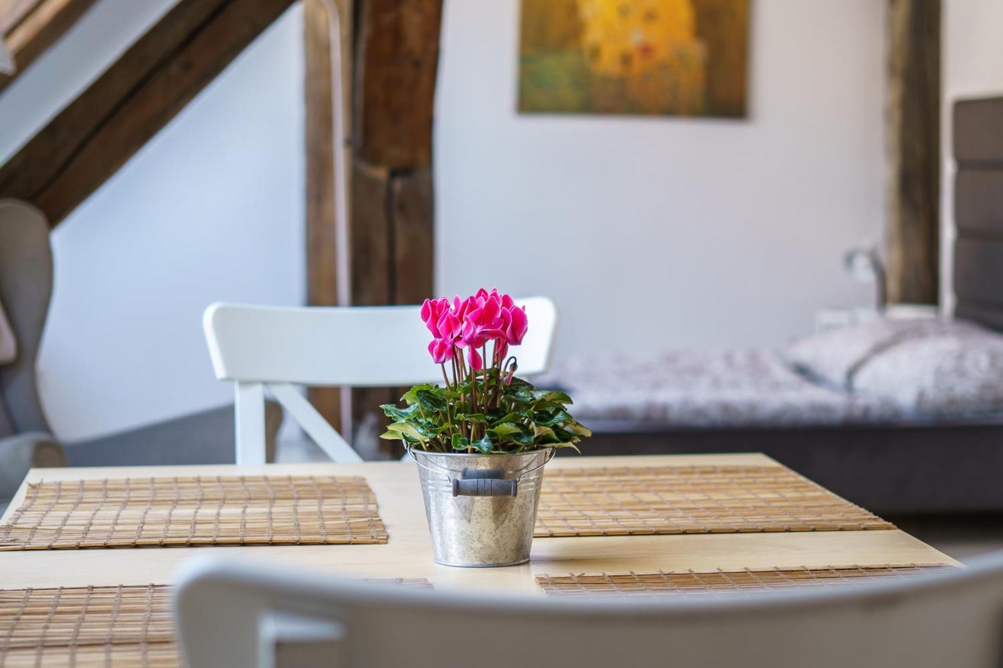 Appartamento Living - Berggasse