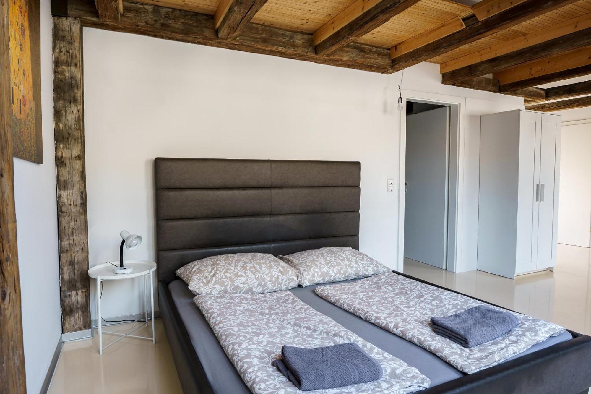 Living - Berggasse Appartamento Vienna