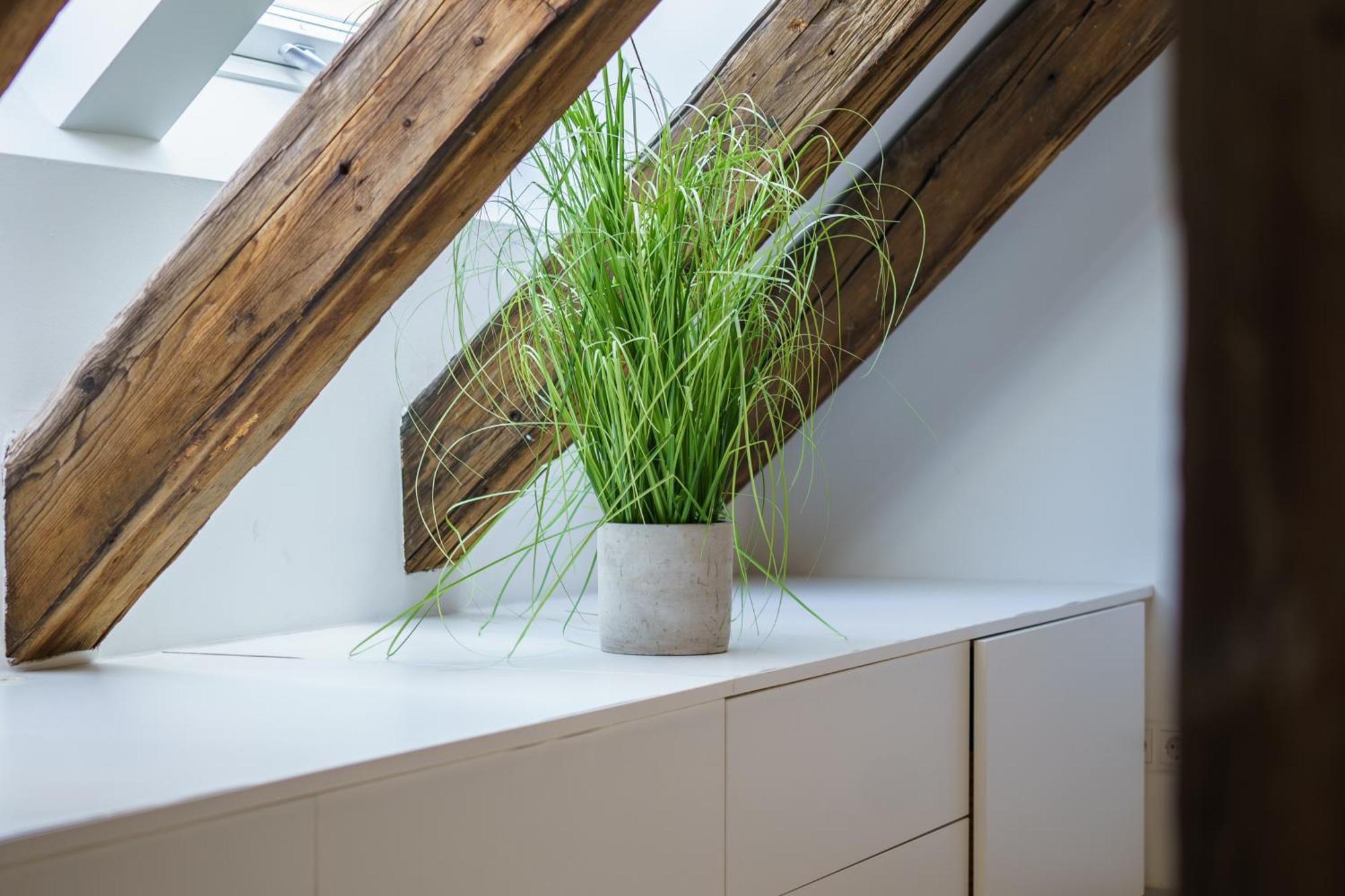 Appartamento Living - Berggasse Vienna