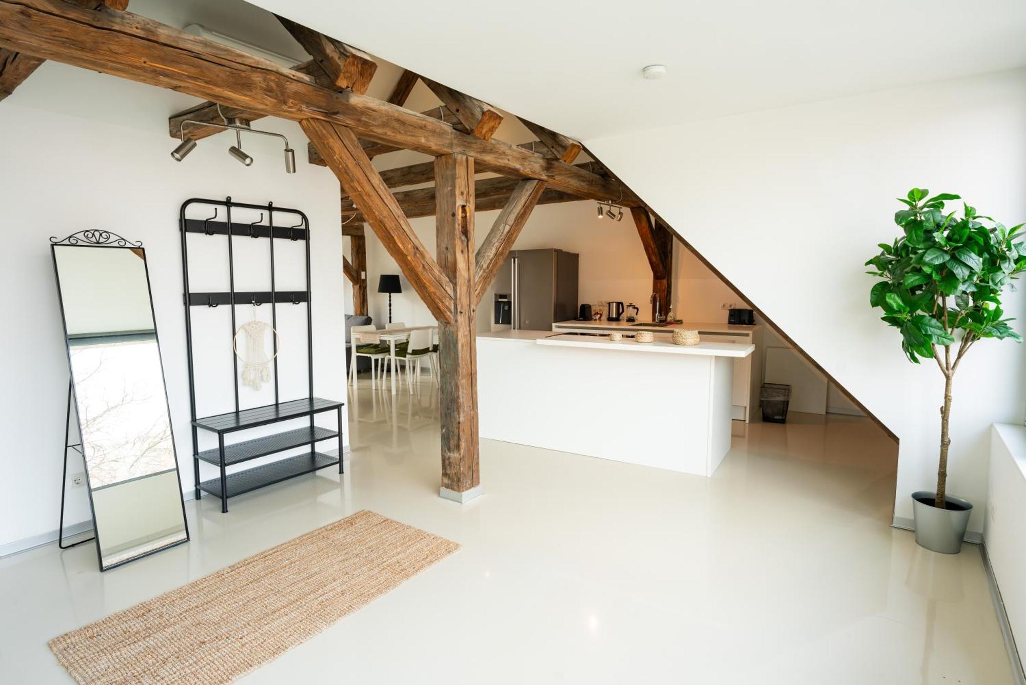 Living - Berggasse Appartamento Vienna