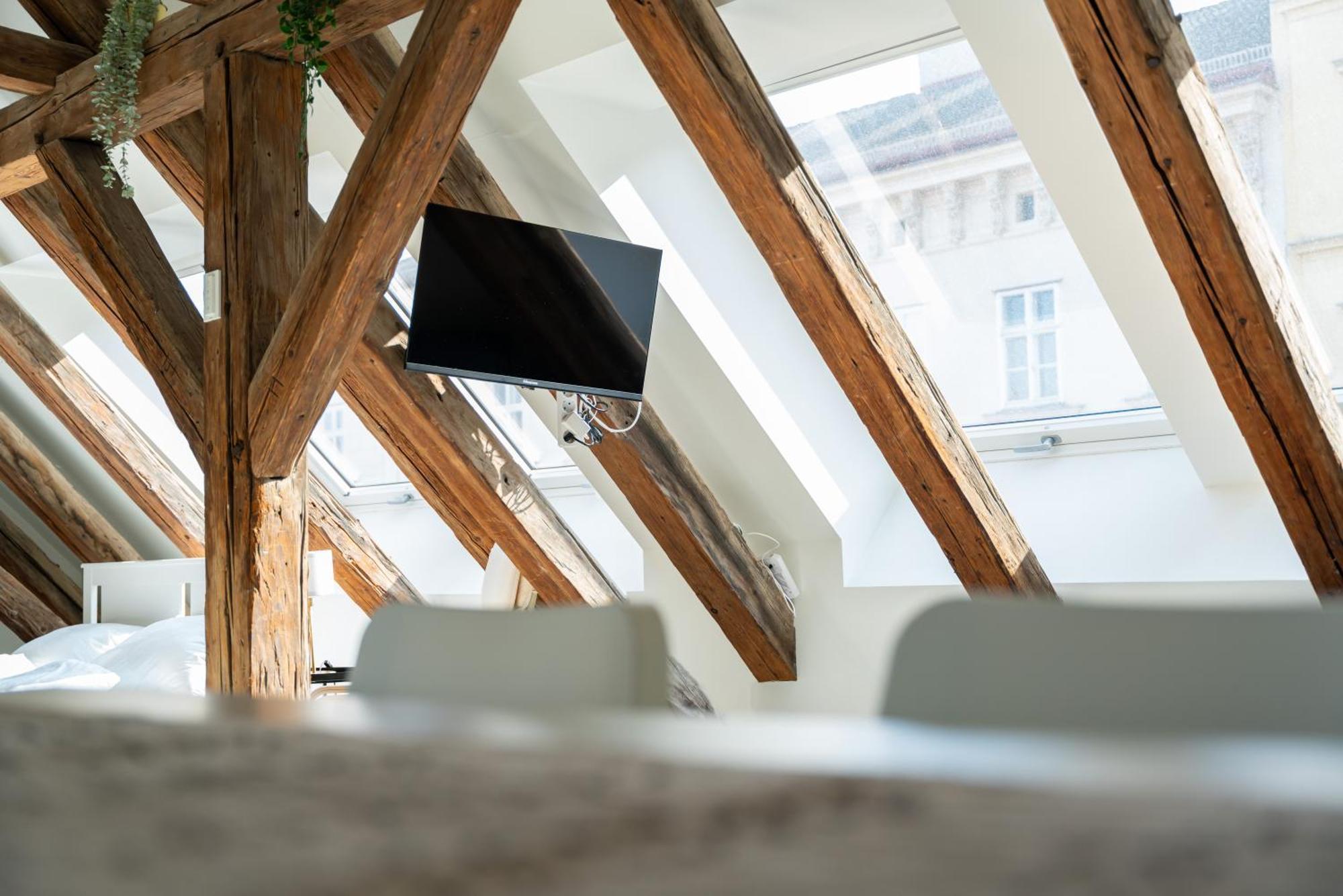 Appartamento Living - Berggasse *